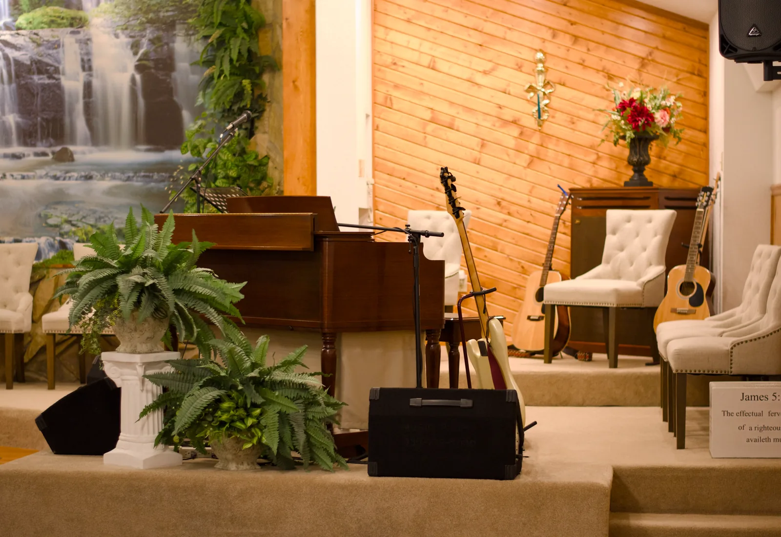 The Organ